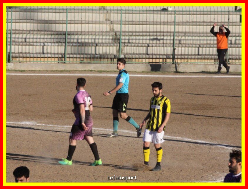 190310 Cephal_Torrenov 206_tn.jpg